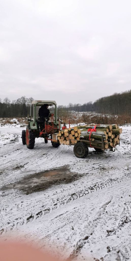 Brennholzernte mit MAN Traktor B18A Allrad