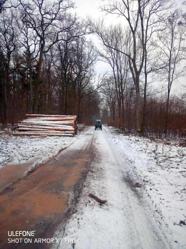 Brennholzernte mit MAN Traktor B18A Allrad