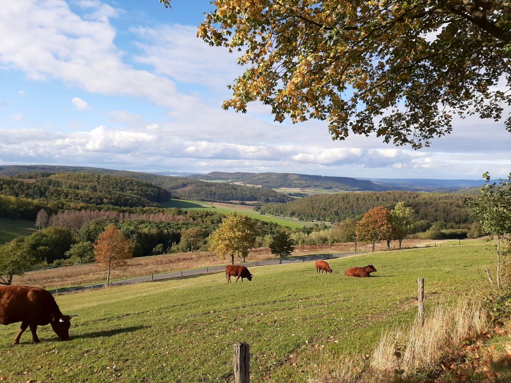 Weserbergland Motorrad Tour