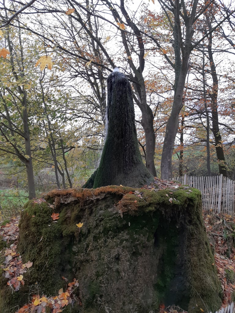 Motorrad Tour zum Wasserbaum Ockensen - Weserbergland